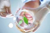 Agricultural Biotechnology and Crop Science