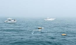 The unmanned surface vessel fleet is seen in a demonstration. Photo: Science and Technology Daily