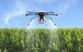 1,200+ Crop Spraying Drone Stock Photos, Pictures & Royalty ...